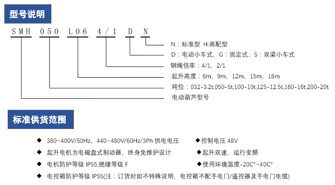 雙梁小車式電動葫蘆